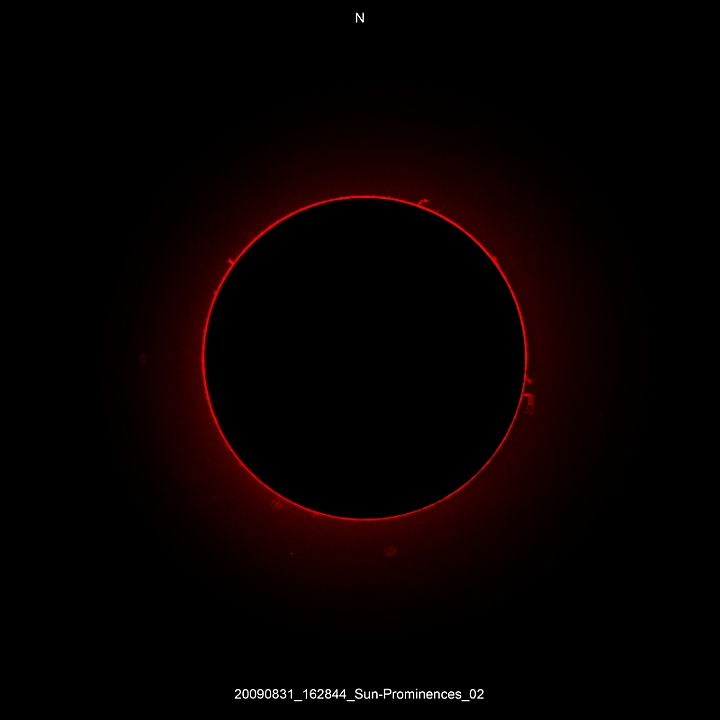 20090831_162844_Sun-Prominences_02.JPG -   ED-Fh d 101,9 / af 1270 (Prom.Ext-Tube) CANON-EOS5D (AFC-Filter) 400 ASA Filter: Ha0,22nm, 2*RG630, UV-IR-CUT 1 light-frame 1/400s Canon-RAW-Image, Adobe-PS-CS  